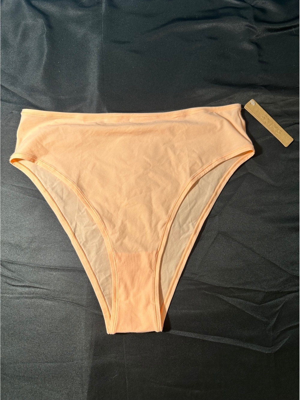 SKIMS Fits Everybody Cheeky Brief Underwear in Faded Nectar, Size 4X